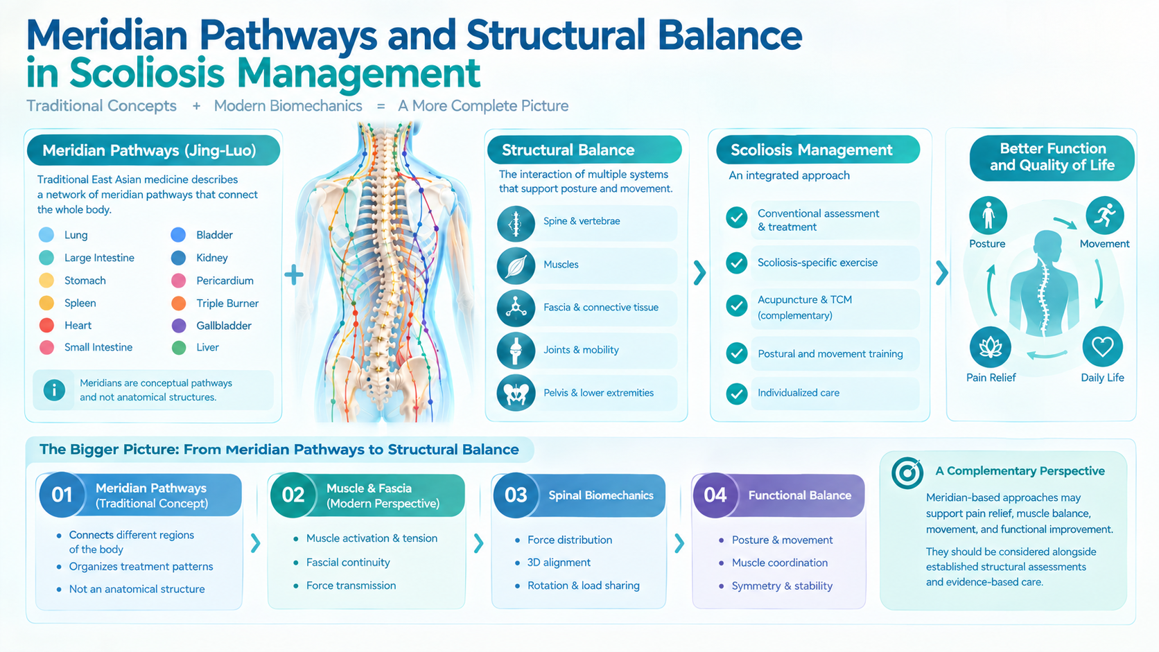 Meridian Pathways and Structural Balance in Scoliosis Management — featured image